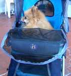 Carrinho para cães