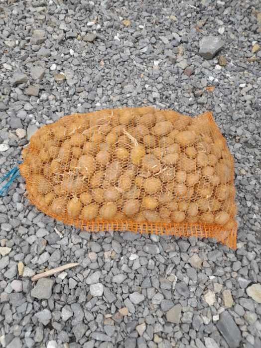 Ziemniaki drobne paszowe