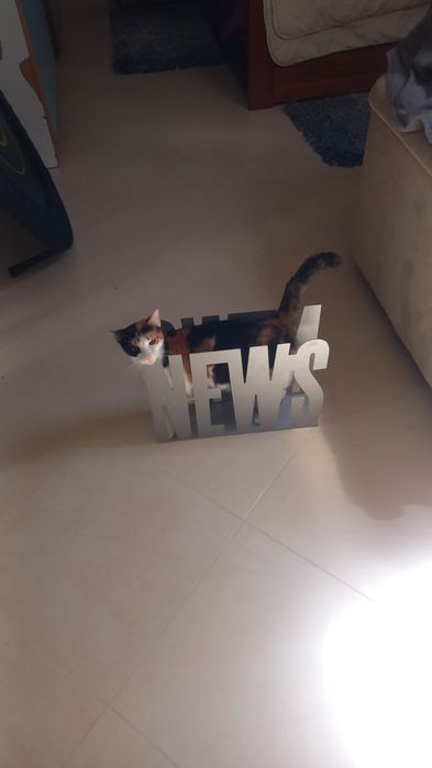Porta-revistas em metal