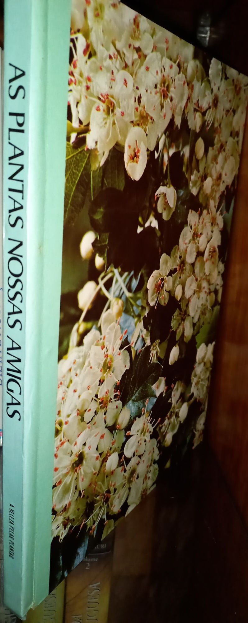 Coleção de 8 livros "Plantas nossas amigas"