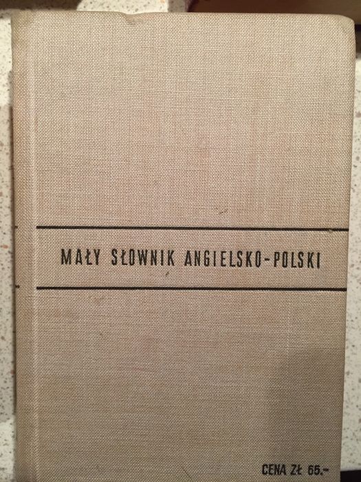 Słowniki  polsko- angielski