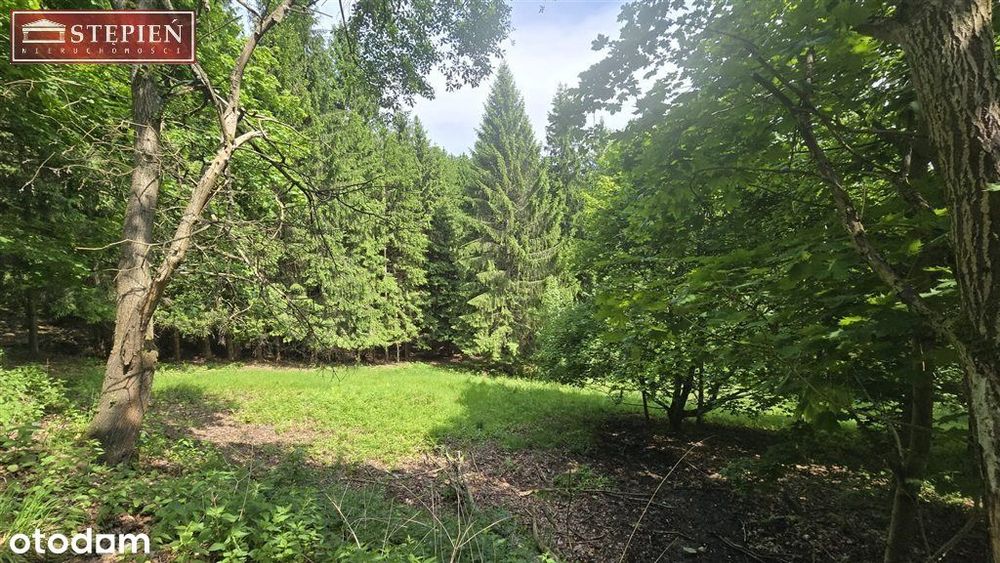 Jagniątków - tuż przy Karkonoskim Parku Narodowym