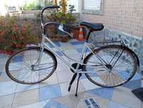 Bicicletas para adultos