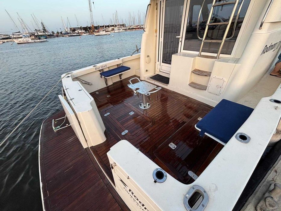 Barco Rodman 1170 IPS