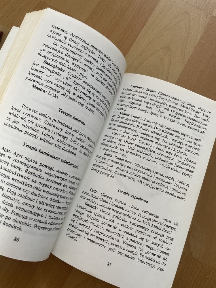 Księga czakr Bodo Bagiński Shalila Sharamon Aster poradnik