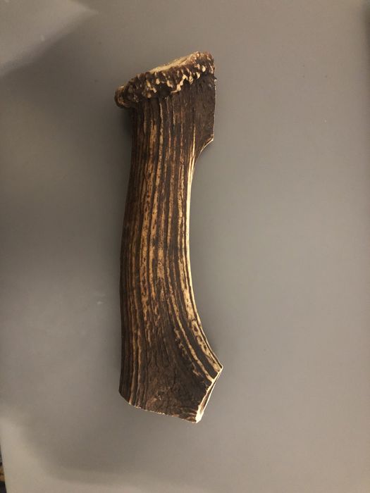 Gryzak dla psa Poroże jelenia