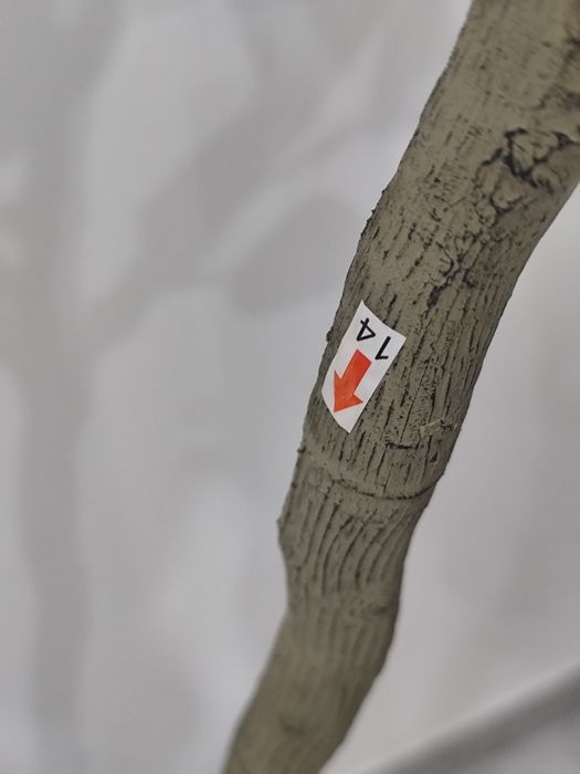 Sztuczne drzewko eukaliptus 150 cm Fopamtri – NOWE