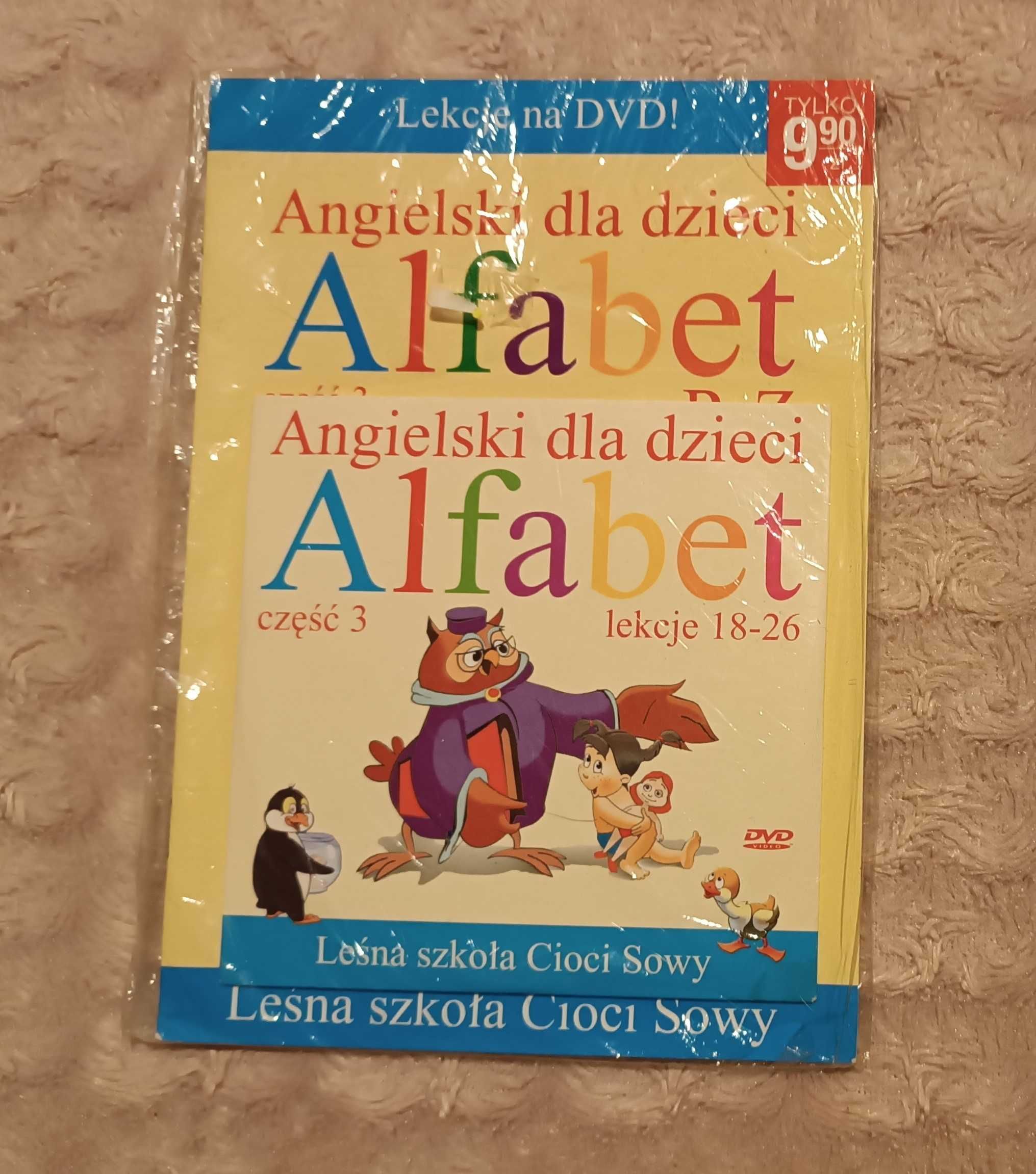 Język angielski - Leśna szkoła cioci Sowy - książeczka + płyta DVD