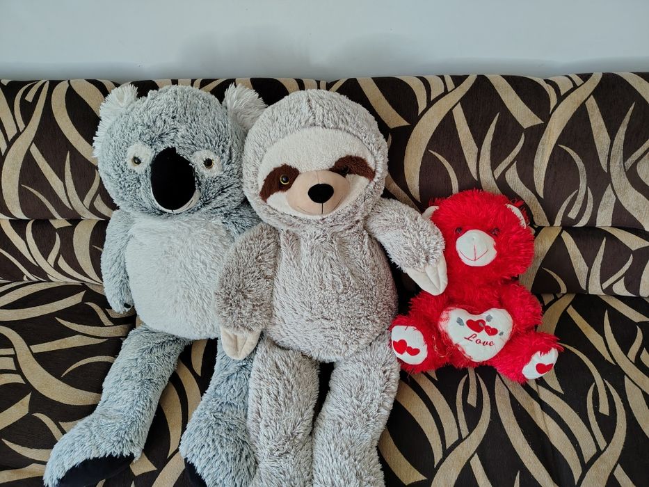 Oddam za darmo misie