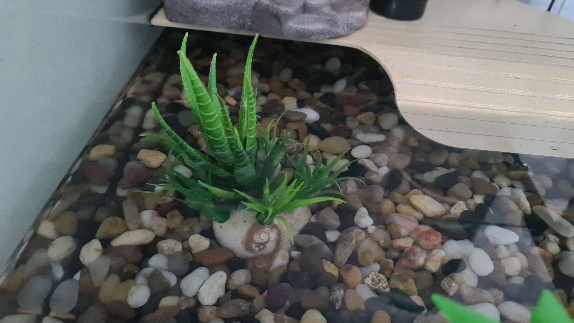 Aquário para tartarugas Tortum 55