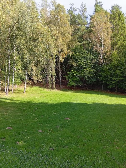 Na sprzedaż działka 2000 m² – Piekło Górne, gm. Przywidz
