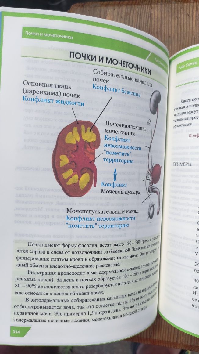 Германская новая медицина. Справочник болезней и их причин