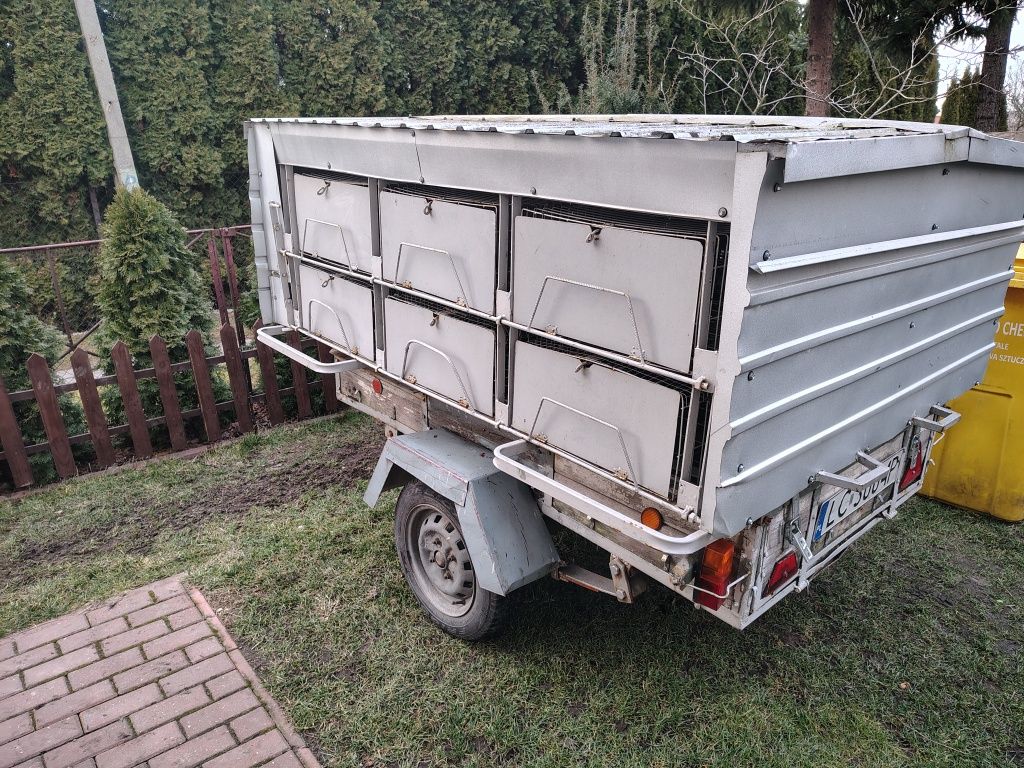 Kabina do lotowania gołębi