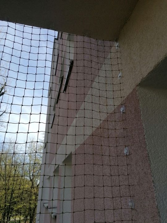 Zestaw Gruba Siatka Dla Kota Na Zaczepy 2 X 1.5 M Oczko 40 Mm Bez Wier