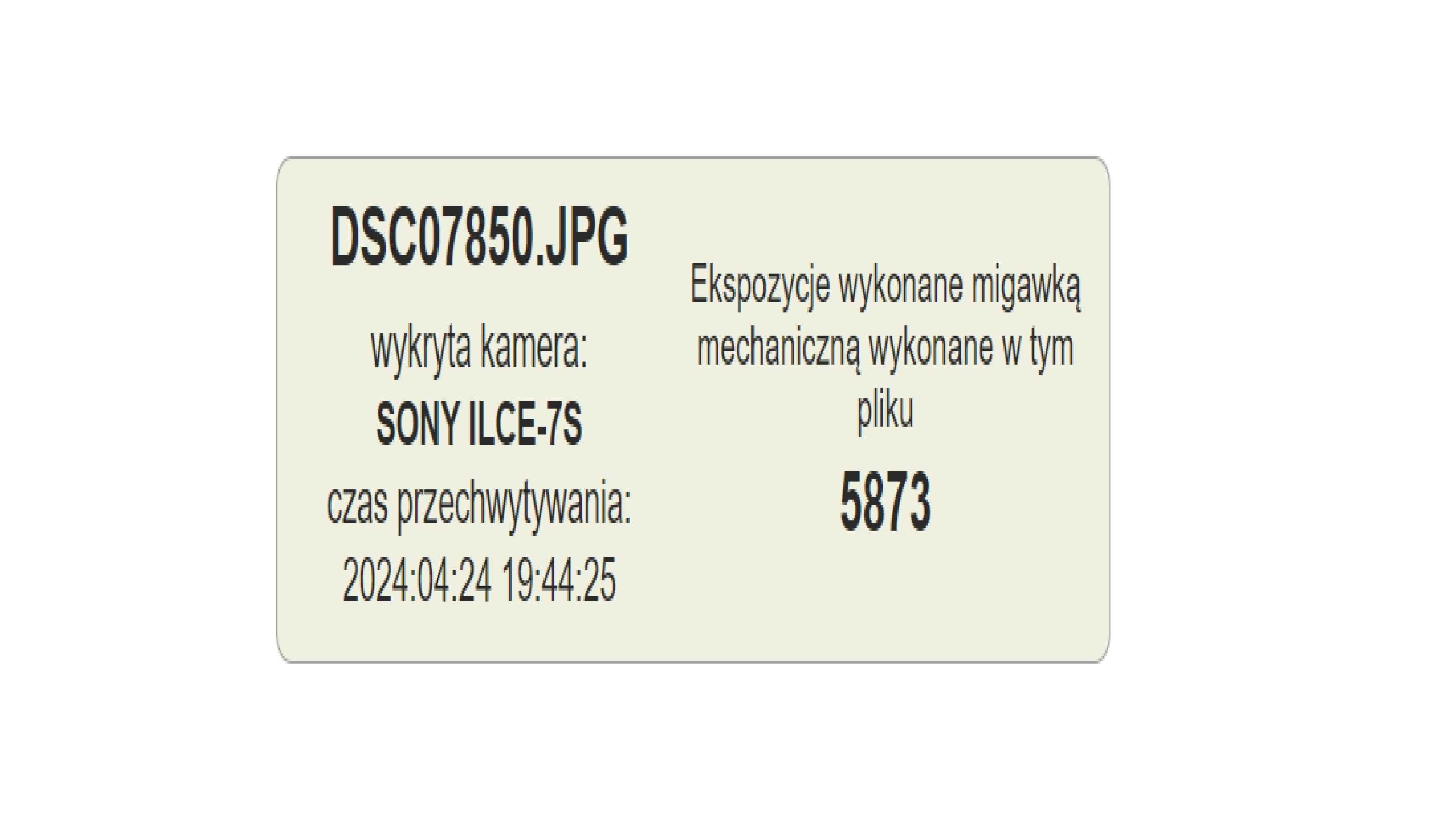 Bezlusterkowiec Sony A7s pełna klatka 4K