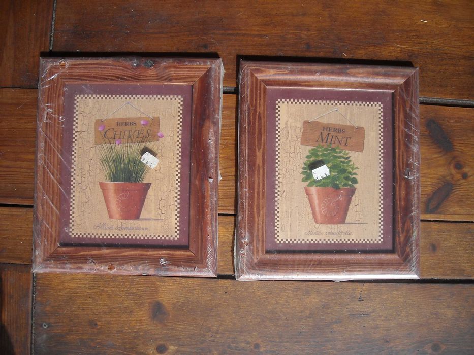 Quadros antigos rusticos vintage gravuras flores e frutos NOVO