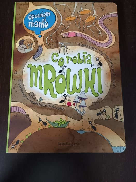 Co robią mrówki nasza księgarnia