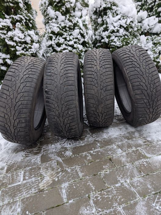 Nokian WR D4 195/65
