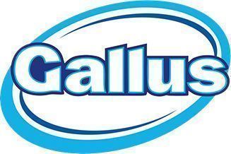 GALLUS Professional Universal 55P 3,05kg proszek do prania