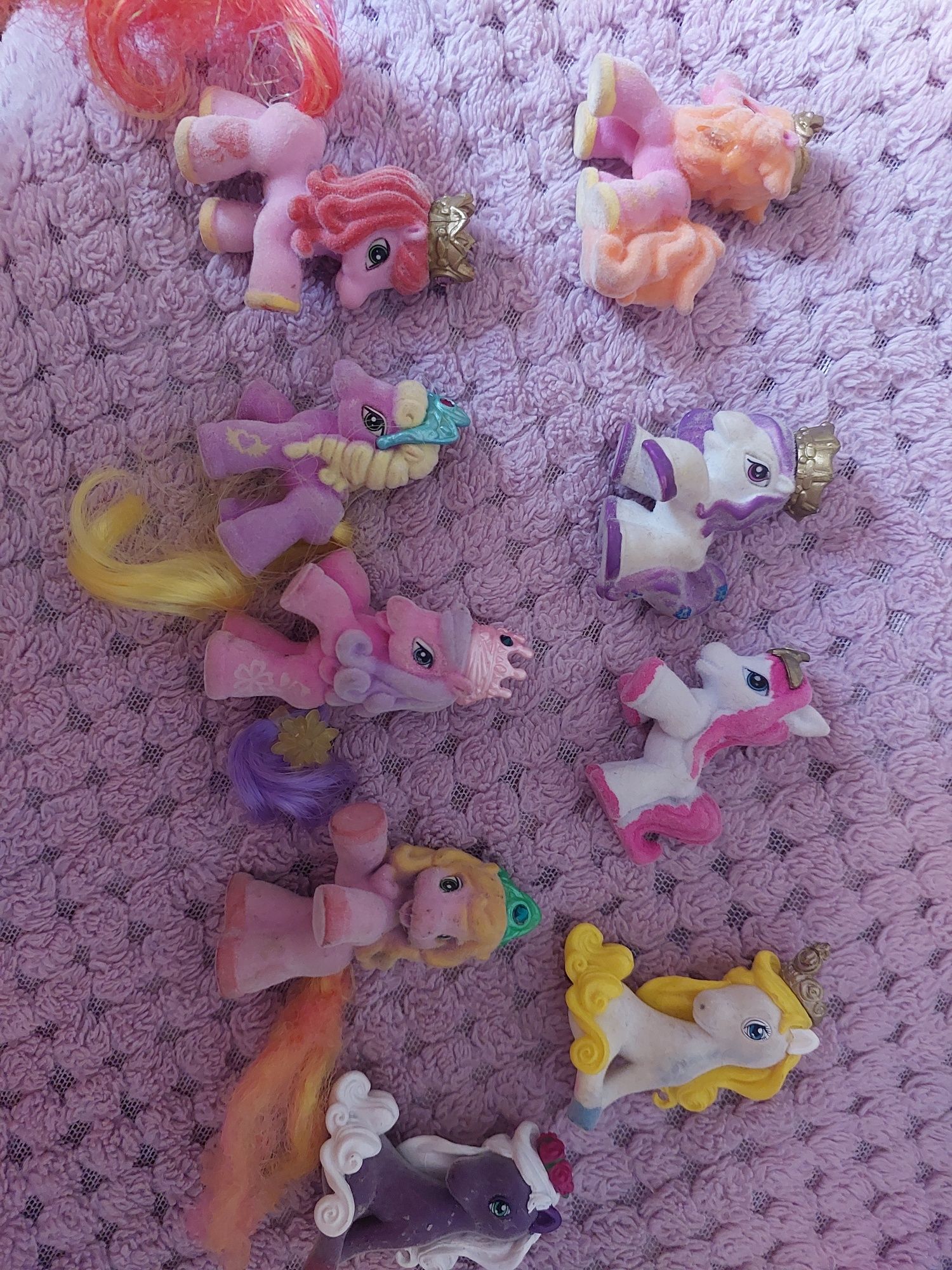 Поні філлі, pony filly