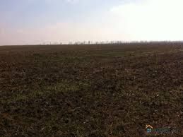 Продам земельну ділянку