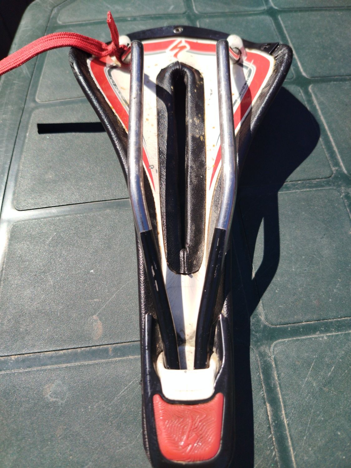 Selim specialized Phenon