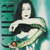 Płyta CD Cher " It s A Man s World " 1995