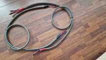 Przewody Kable głośnikowe WireWorld Equinox 3+ Speaker Cables; 2m III+