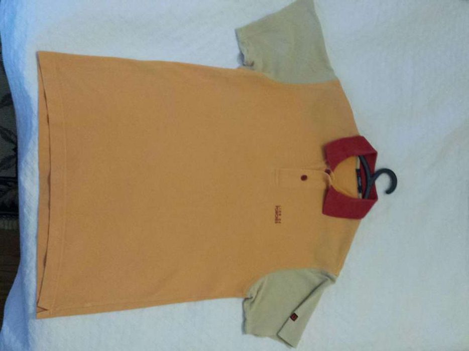 Polo lion of porches