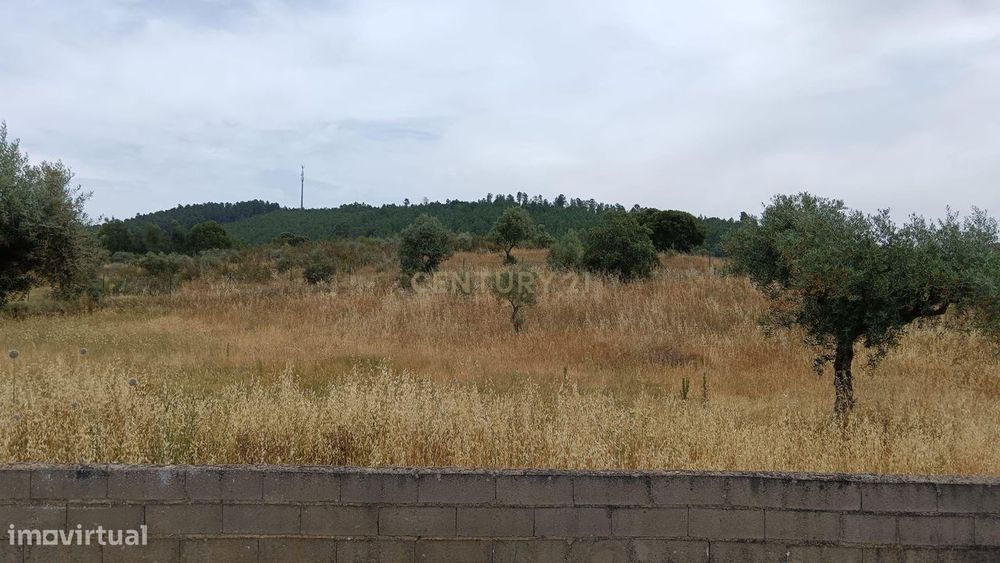 Terreno Rústico, 2800m2, Palvarinho