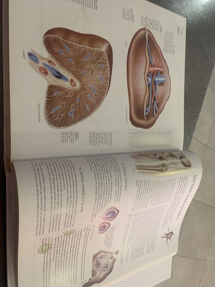 Atlas del Cuerpo humano