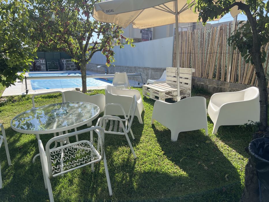 Hospedagem de cães e gatos em ambiente familiar