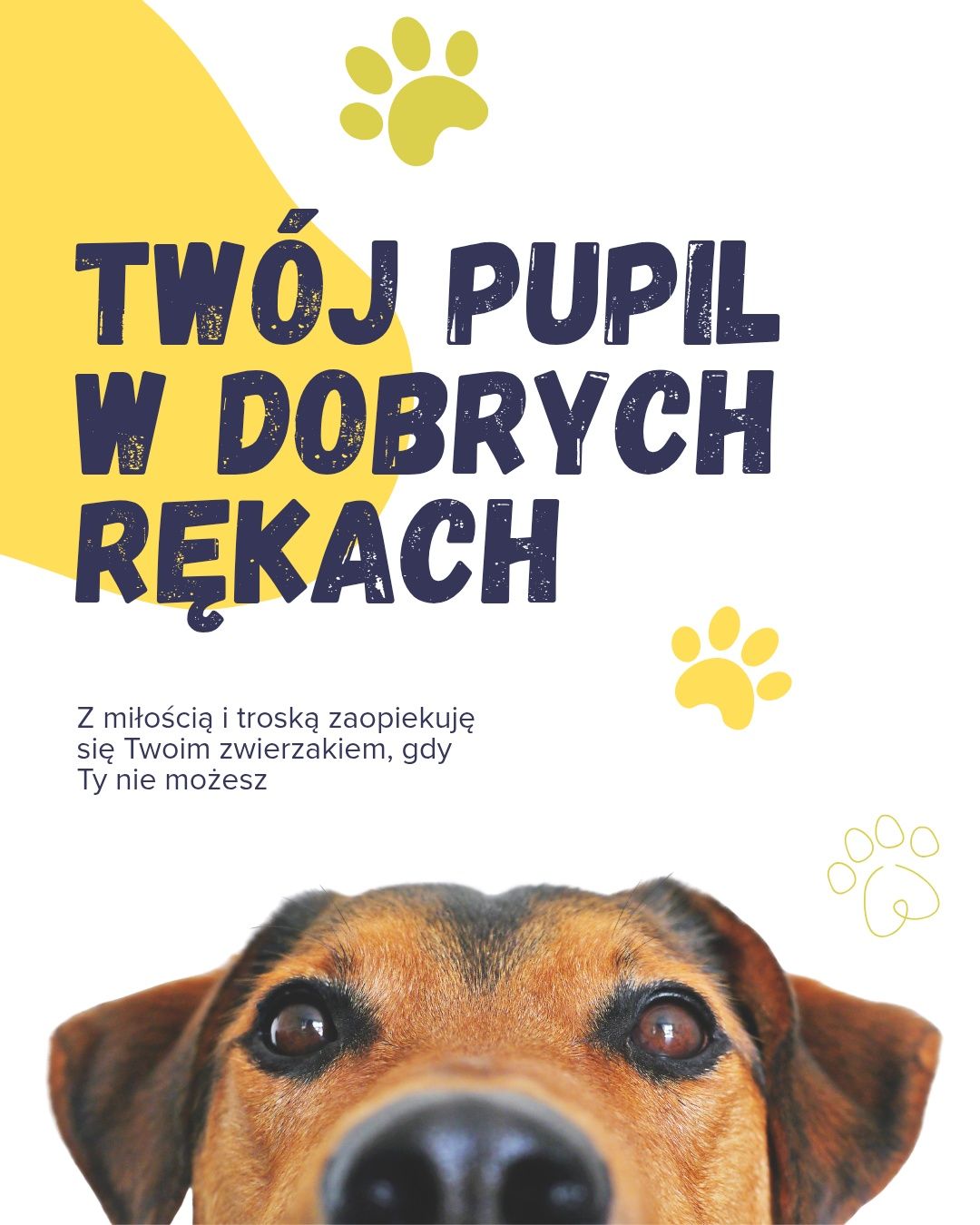 Opieka nad zwierzętami