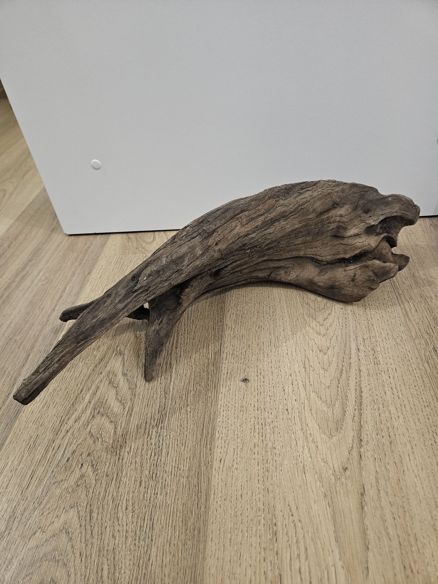 Korzeń do akwarium 45 cm