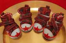 Botas para Cachorro T. 5