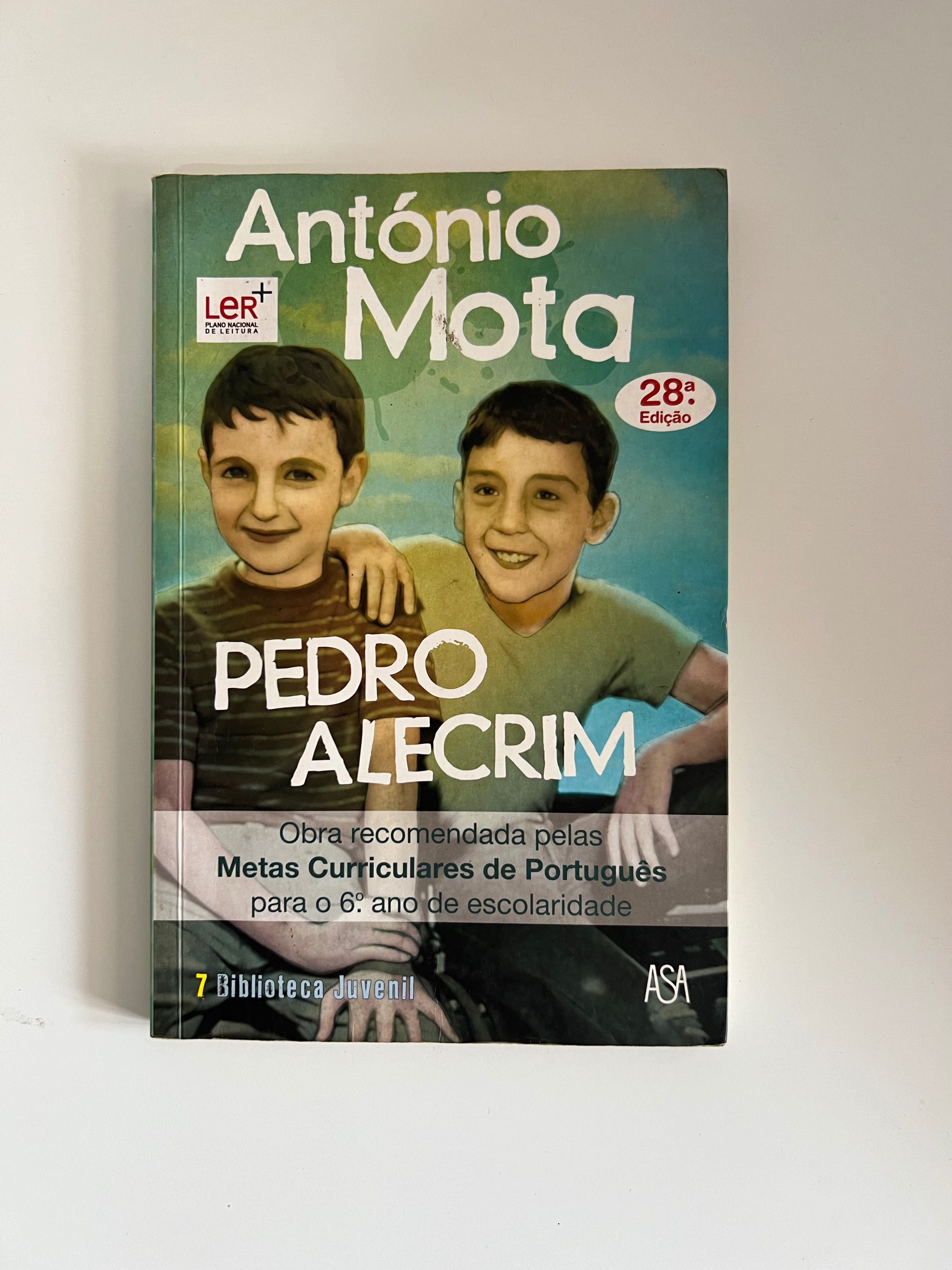 Vários livros de escola e leitura