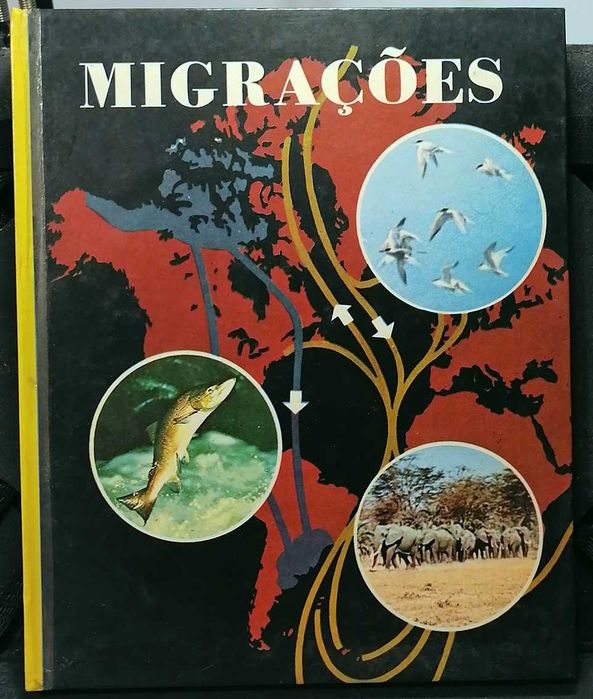 Migrações (1969)