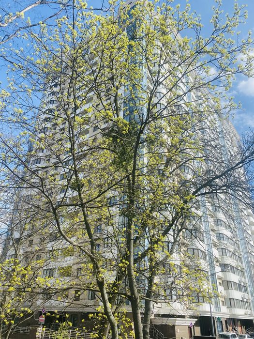 ЖК Новопечерський Двір. вул.Верхогляда (Драгомирова)