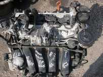 Двигатель 1.6 16v fsi BAG BKG AXU VW Golf V Touran Audi A3