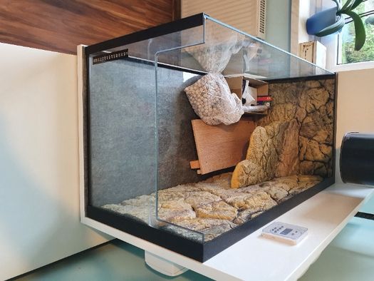 Terrarium akwarium dla żółwia wodnego wodno-lądowego żółw