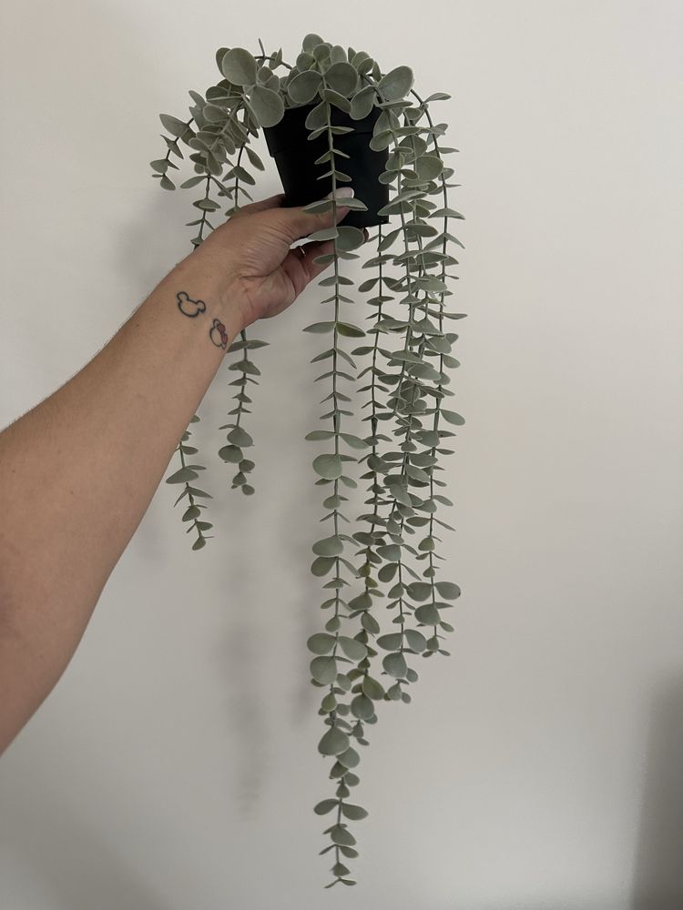 Plantas artificiais