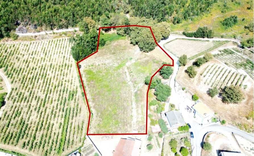 Terreno e Monte Guimarães