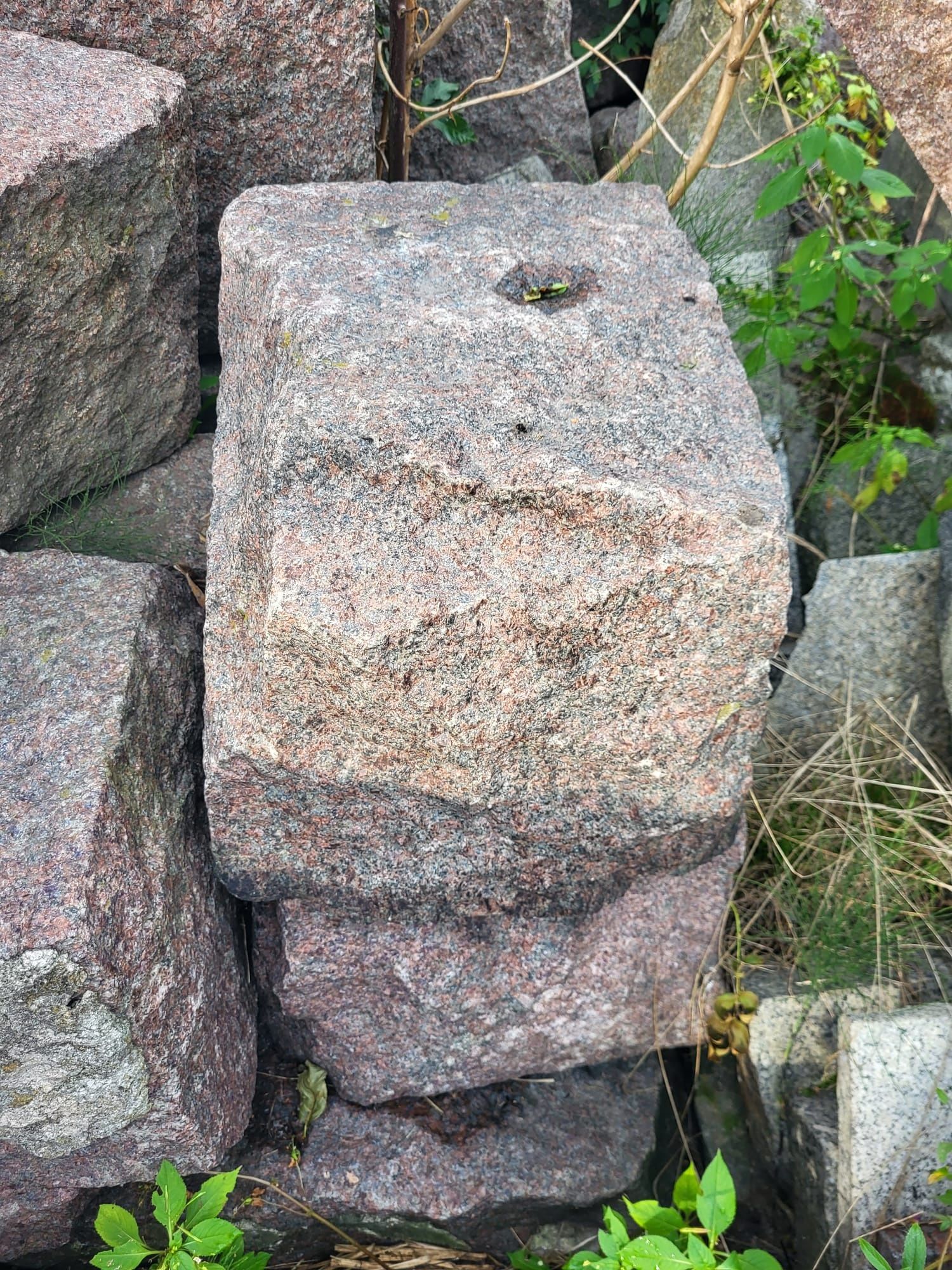 Kamień ozdobny do ogrodu