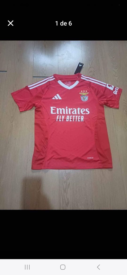Versão Fã Benfica 24/25