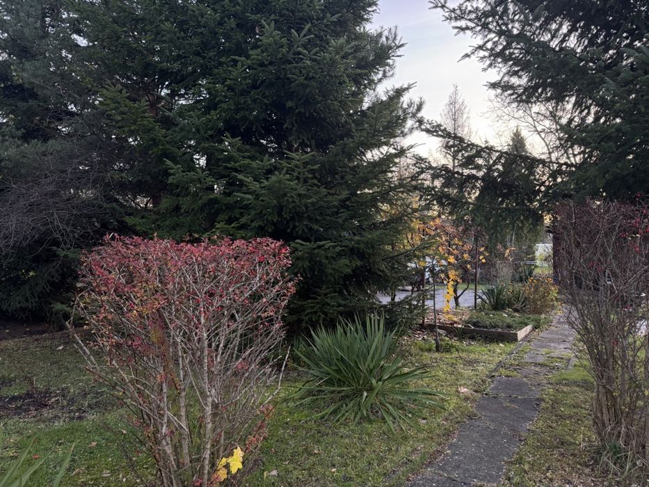 Działka w ROD „Pilczyce”