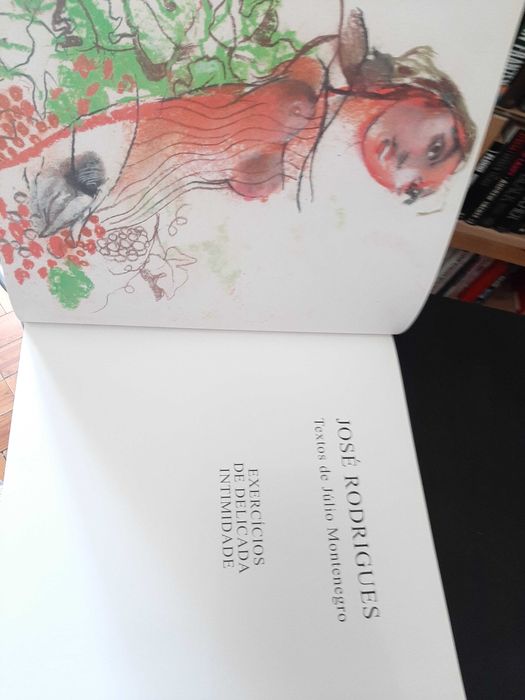 José Rodrigues, Júlio Montenegro – Exercícios de Delicada Intimidade