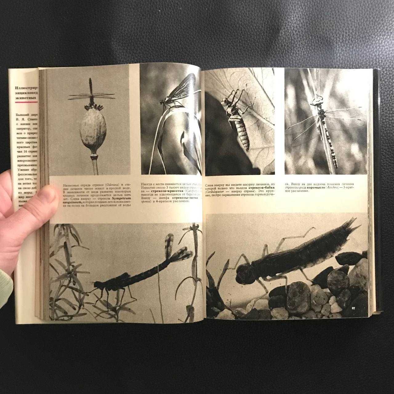 Енциклопедії про тварин 2 книги Букіністика