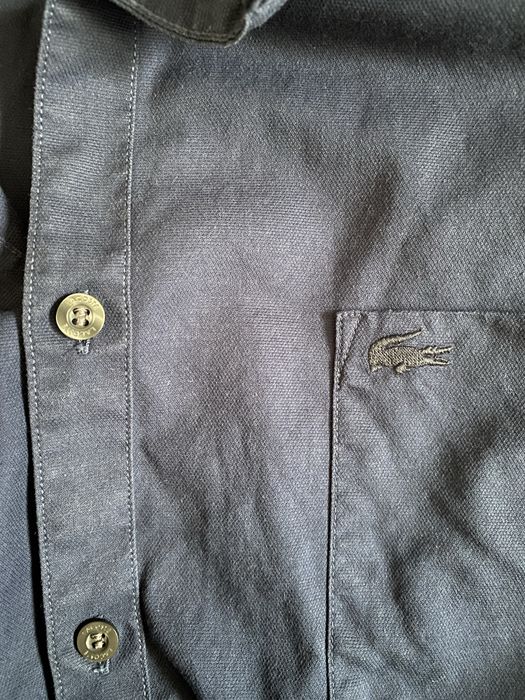 Рубашка лакосте / lacoste оригінал