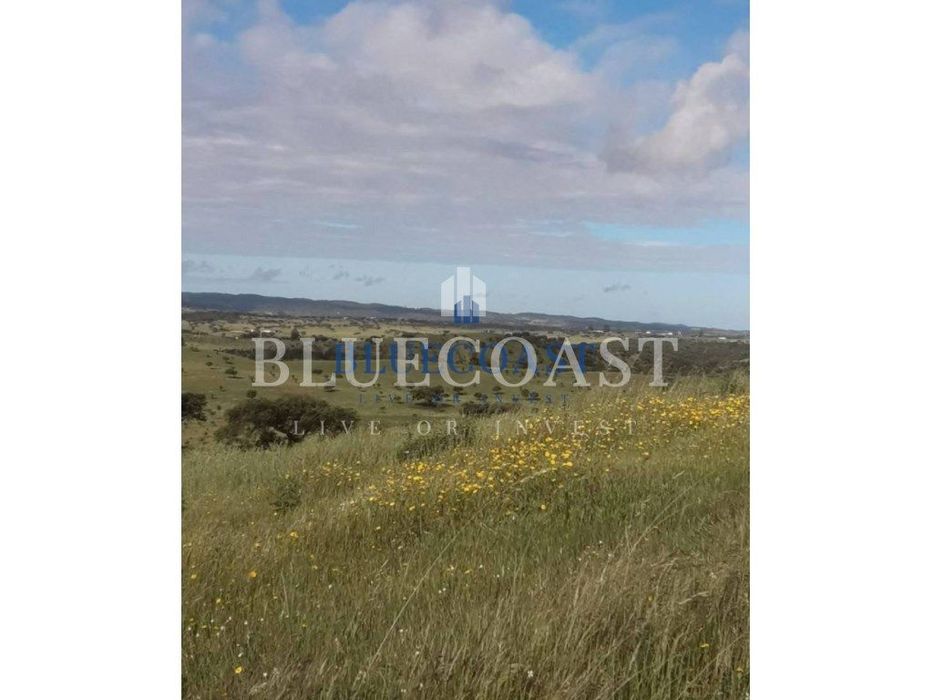 Terreno de 5.675 Hectares com Ruína em Ourique