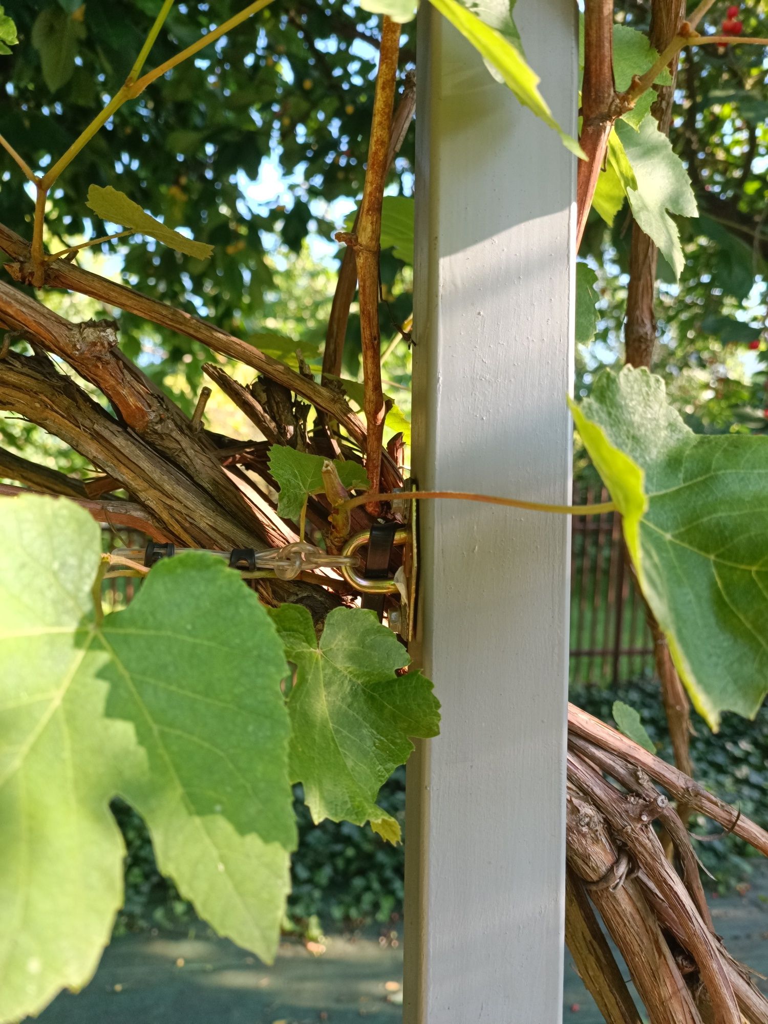 Pergola zadaszenie 2x3m bardzo dobry